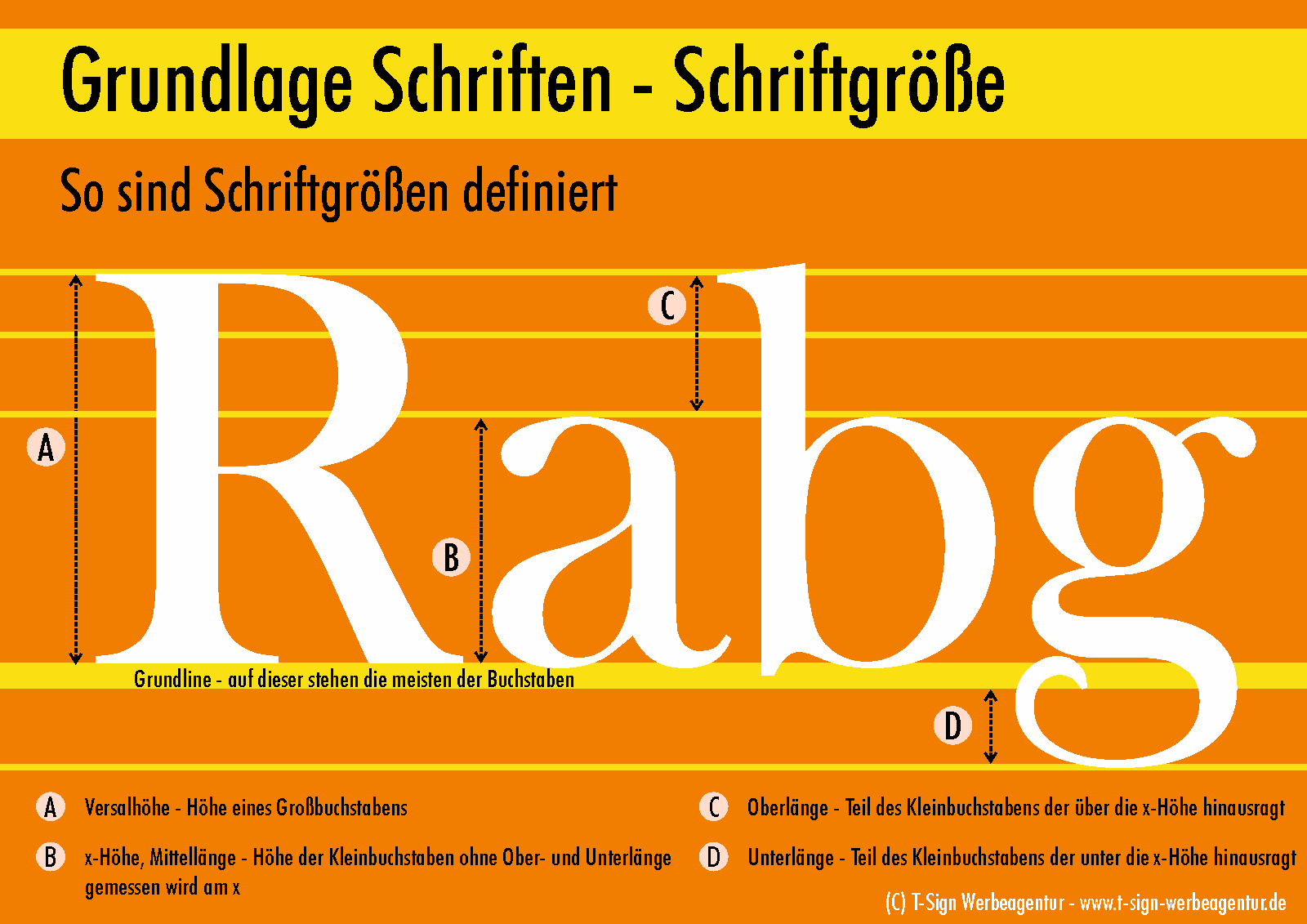 Was Sie über Schriften wissen sollten